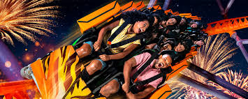 Summer Nights 2025: Busch Gardens confirma temporada de 23 de maio a 10 de agosto