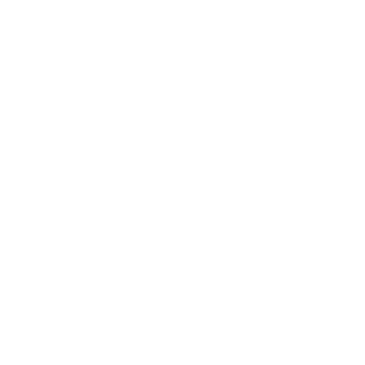 Orlando Experience Logo